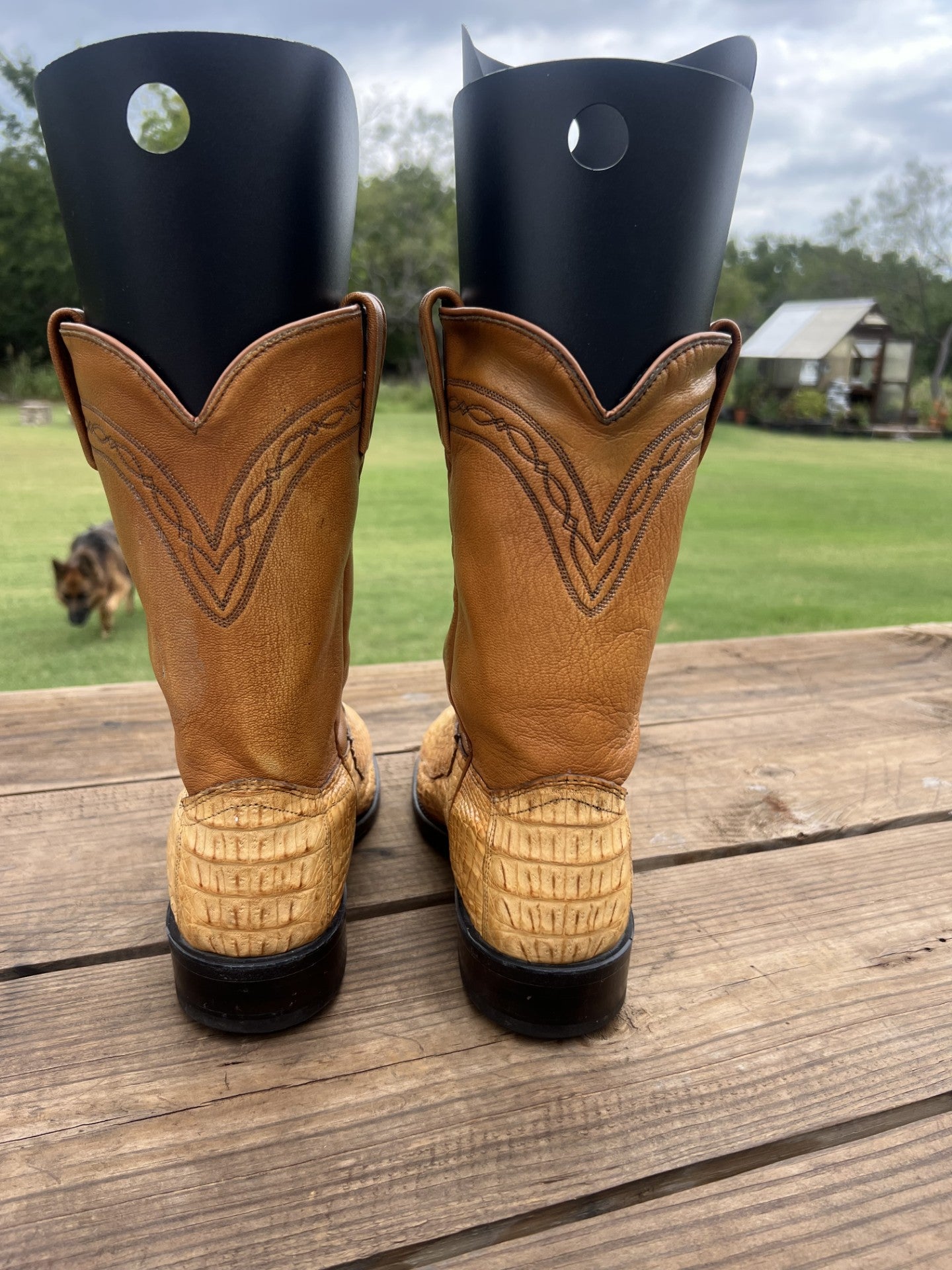 Dan Post Men's Tan Alligator Tail Cowboy Boots, Round Toe Size 8.5 EE