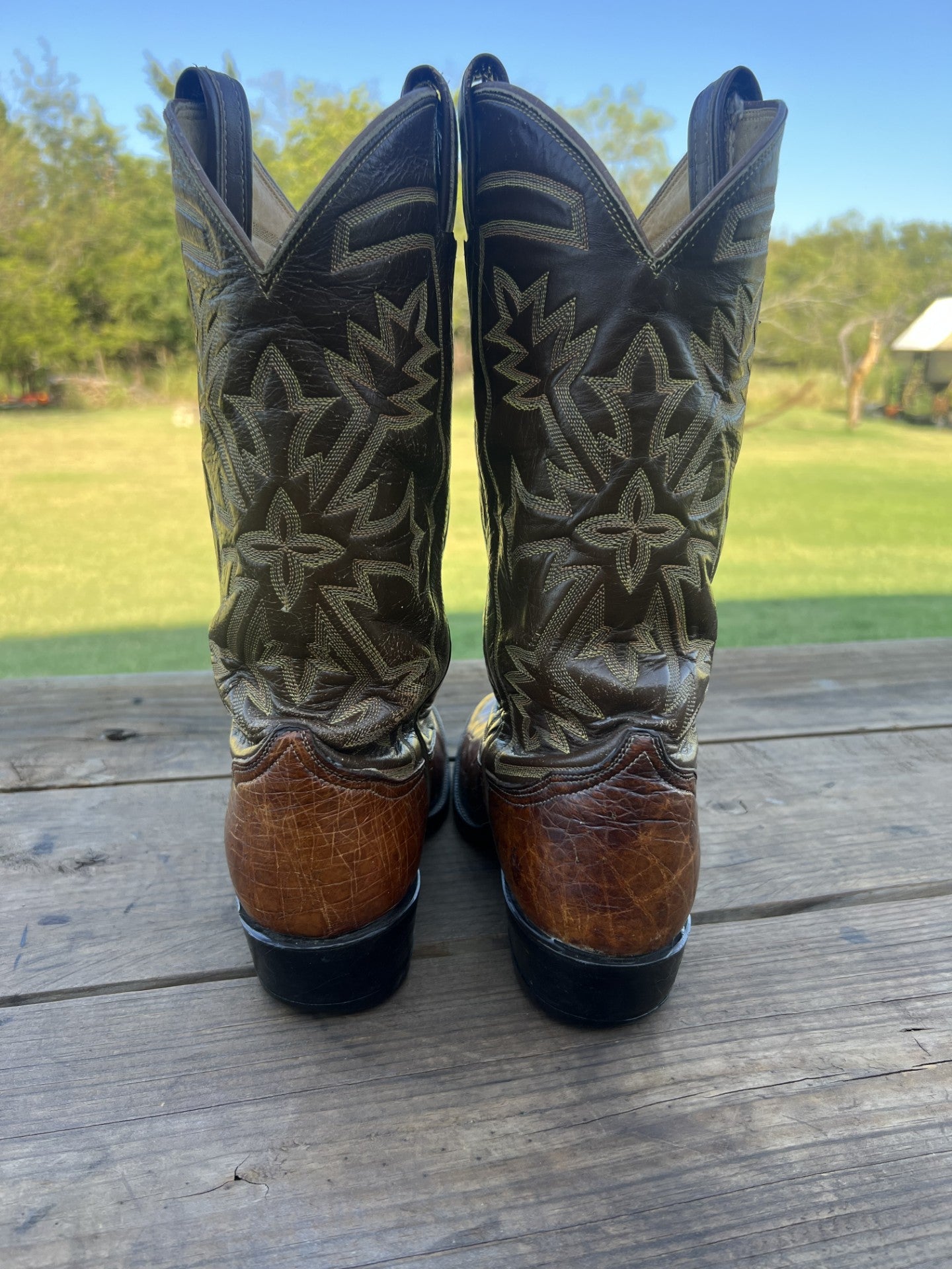 Tony Lama Men's Brown Sea Turtle Cowboy Boots, Round Toe Size 8 D