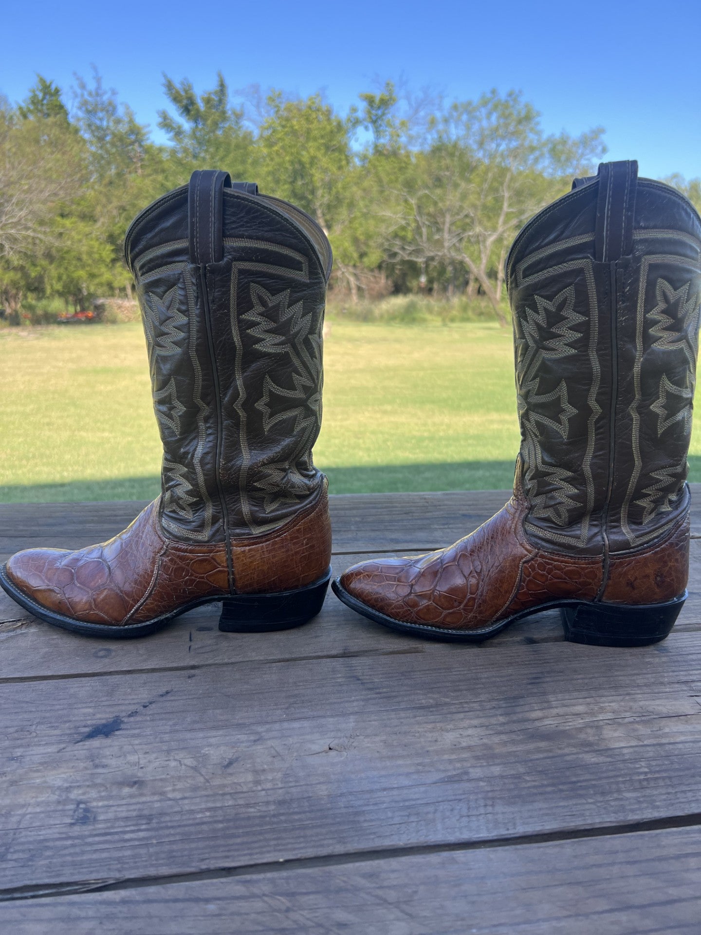 Tony Lama Men's Brown Sea Turtle Cowboy Boots, Round Toe Size 8 D