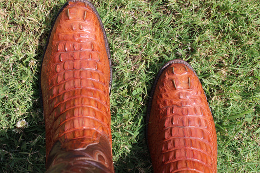 Ammons Men's Cognac American Alligator Headcut Cowboy Boots, Round Toe Size 12 D