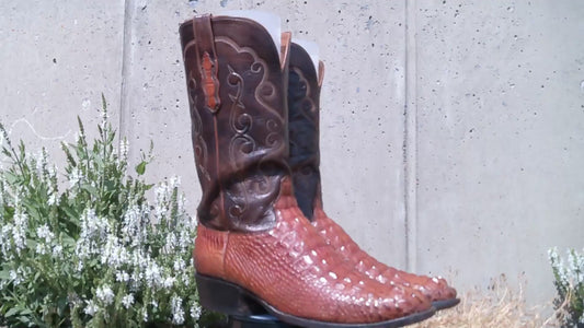 Ammons Men's Cognac American Alligator Headcut Cowboy Boots, Round Toe Size 12 D